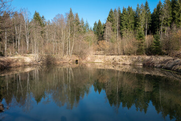 Teich im Wald beim Dollenbruch