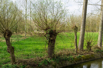 Spring walk in the beautifull nature and wonderfull photo&rsquo;s