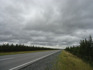 Road near the forest in cloudy weather