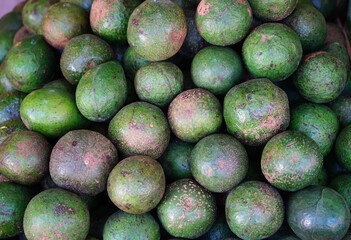 Avocado native fresh fruit  have  brown color at local market