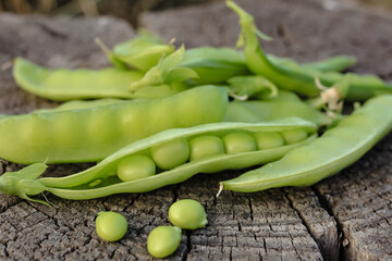 Fresh pods of sweet green peas as natural food summer harvest background. Healthy eating, lifestyle.