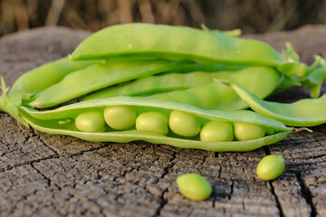 Fresh pods of sweet green peas as natural food summer harvest background. Healthy eating, lifestyle.