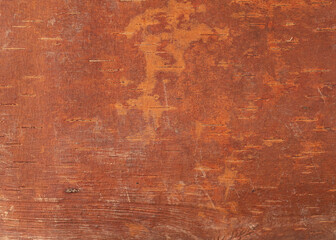 Close up of texture tree bark on old tree