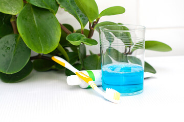 a glass of mouthwash a toothbrush and toothpaste on the bathroom table in the background a houseplant