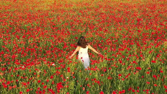 A girl in a white dress runs on a blooming field SLOW MOTION. Poppy flowers on a beautiful spring field.