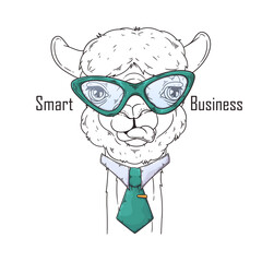 Hand drawn alpaca with tie Vector. Isolated objects for your design. Each object can be changed and moved. © Alevtina