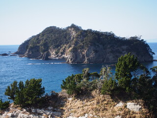 伊豆の海