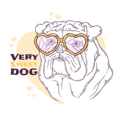 Hand drawn bulldog portrait with accessories Vector. Isolated objects for your design. Each object can be changed and moved.