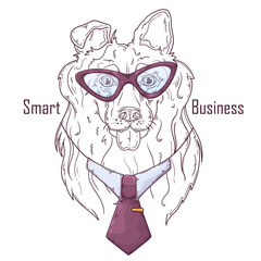 Hand drawn collie dog dog in tie Vector. Isolated objects for your design. Each object can be changed and moved.