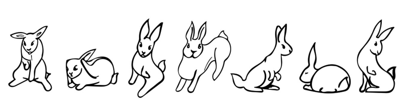 Hand drawn  artist pen style bunny vectors. Collection of cute cartoon rabbit sketches. Black outline images of bunny cleaning, scratching, sleeping and sitting.