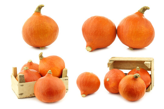 Fresh orange pumpkins and some in a wooden crate on a white background
