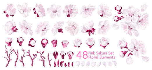 Big set of spring vector flowers. Realistic pink with white sakura. Single flowers, petals, twigs and two flower arrangements. Easy to edit and customize for your design