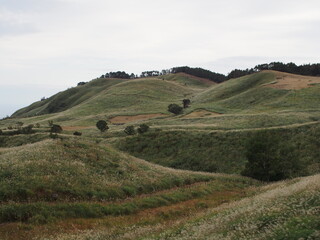 東伊豆　細野高原