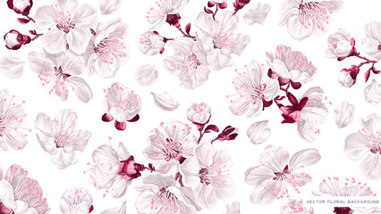 Wallpaper with spring cherry flowers. White pink, vector, realistic, hand-drawn plants on white background for your design, wallpapers for desktop on computers, tablets , labels, advertising banners