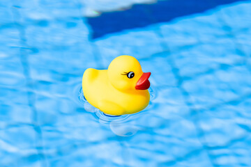 Funny rubber ducky. Yellow inflatable toy for kids swim in blue water of summer pool. Minimal summer concept.