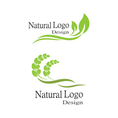 Leaf icon Vector Illustration design Logo template