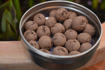 Seed balls are an innovative way to protect seeds before and during early growth The clay acts as protective case from birds and insects while chilli powder works as an extra deterrent to slugs snails