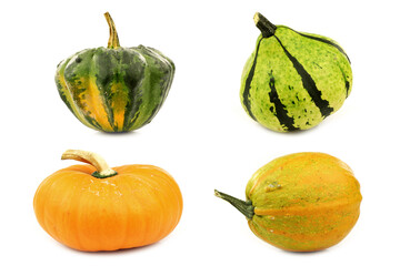 colorful decorative pumpkins on a white background