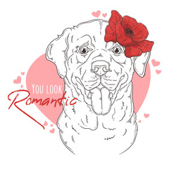 Hand drawn Labrador Retriever dog with flowers Vector. Isolated objects for your design. Each object can be changed and moved.