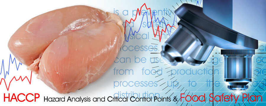 Fresh chicken meat  HACCP (Hazard Analyses and Critical Control Points) concept with graphs and microscope analysis - Food Safety and Quality Control in food industry