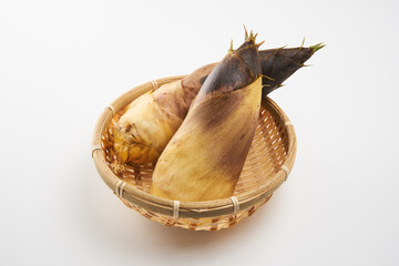筍を白背景で