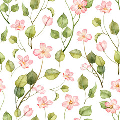 Seamless pattern with watercolor soft pink flowers. Realistic botanical drawing. Watercolor background