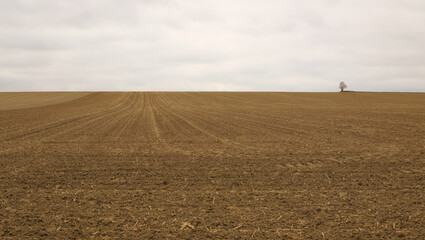 Ausger&auml;umte Ackerfl&auml;che, Deutschland, Europa