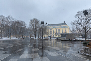 Naklejka premium snow storm in Tammsaare Park in Tallinn