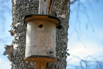 birdhouse on tree, nacka, sverige, stockholm, sweden