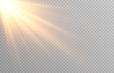 Vector golden light. Sun, sun rays, dawn, star, flare png. Golden Star. Golden flash png. Vector image.	