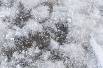 Ice texture. Frozen sea.