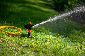 Naklejka premium Automatic sprinkler system watering the lawn.Watering in the garden. Watering garden plants.