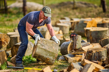 Strong man moving big cut beech logs