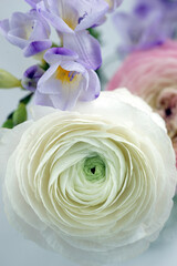 Beautiful bouquet with spring ranunculus and freesias