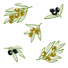 Olives set. Collection icon olives. Vector