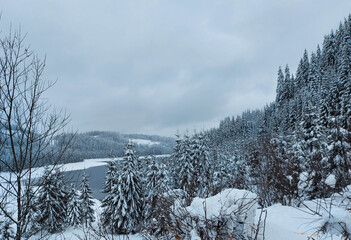 Obraz premium Beautiful natural winter landscape, stunning mountain views.The concept of tourism.Idyllic view of spruces covered in snow.