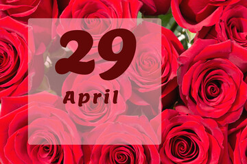 April 29th. Day of 29 month, calendar date. Natural background of red roses. A bouquet of dark red roses