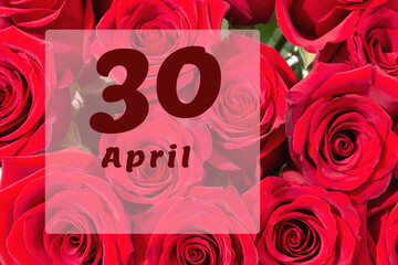 April 30th. Day of 30 month, calendar date. Natural background of red roses. A bouquet of dark red...