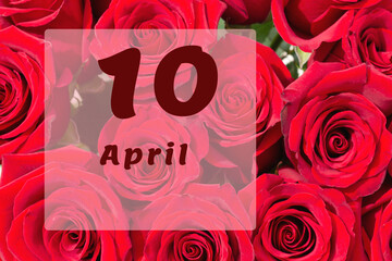 April 10th. Day of 10 month, calendar date. Natural background of red roses. A bouquet of dark red...