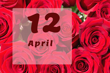 April 12th. Day of 12 month, calendar date. Natural background of red roses. A bouquet of dark red roses