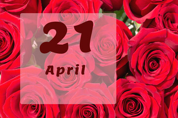 April 21th. Day of 21 month, calendar date. Natural background of red roses. A bouquet of dark red roses
