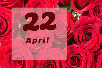 April 22th. Day of 22 month, calendar date. Natural background of red roses. A bouquet of dark red roses