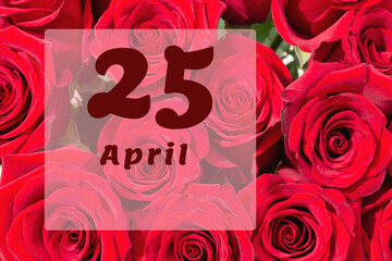 April 25th. Day of 25 month, calendar date. Natural background of red roses. A bouquet of dark red roses