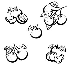 Mandarin set. Collection icons mandarin. Vector