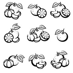 Mandarin set. Collection icons mandarin. Vector