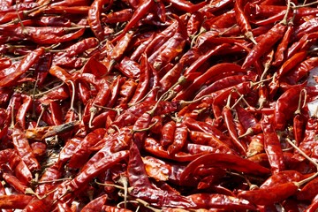 Red chili pepper eating vegetable kept in the sunlight for drying. Raw chilli pepper spice cooking ingredient kept for food preparation. Healthy eating food concept.