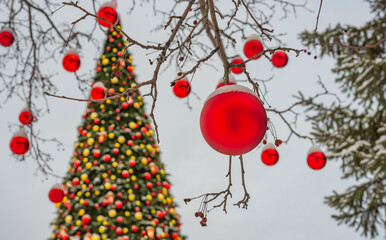 New Year's decor on the street - red balls on tree branches