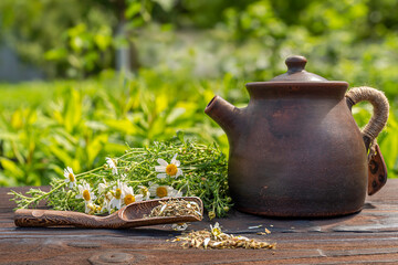 Ceramic naive handmade teapot made of red clay. Bamboo spoon with chamomile tea, fresh daisy flowers, wooden table. A bright sunny day, hard light. Floral background in blur.