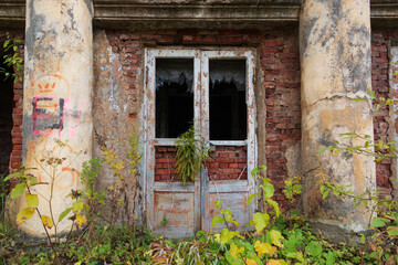 abandoned building overgrown with plants