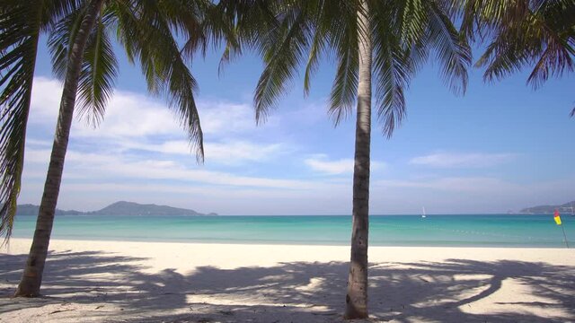 Phuket, Thailand. On 8 Jan 2021. And After chock corona virus 2019. Palm tree and beach, Landscape view of beach. sea in summer day. At Patong beach, Phuket, Thailand. Nature and travel concept.